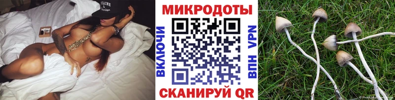 Галлюциногенные грибы мухоморы  кракен вход  Пущино 